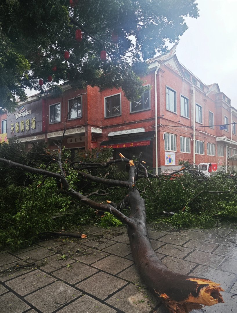 历史上最强的台风等级是多少？破坏程度如何？