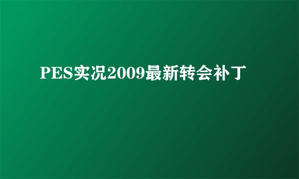 PES实况2009最新转会补丁