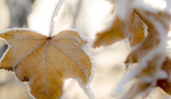 求一句天冷了关心的话,必须是幽默方式的