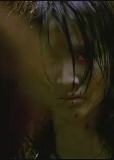 灵魂密码的内容简介