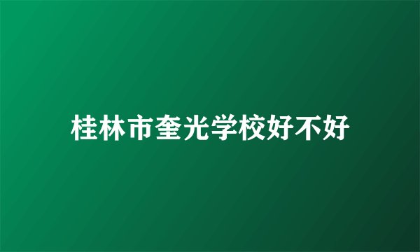 桂林市奎光学校好不好