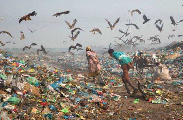 人类生存的必要条件