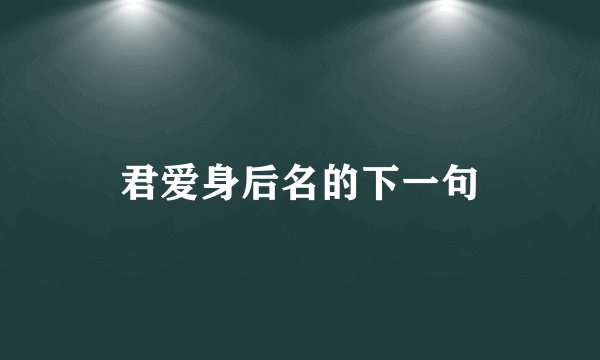 君爱身后名的下一句