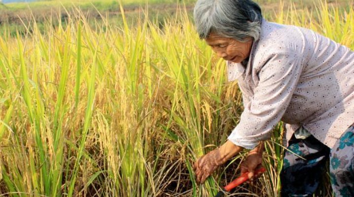 你还知道哪些农事活动