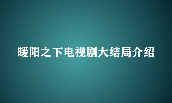 暖阳之下电视剧大结局介绍