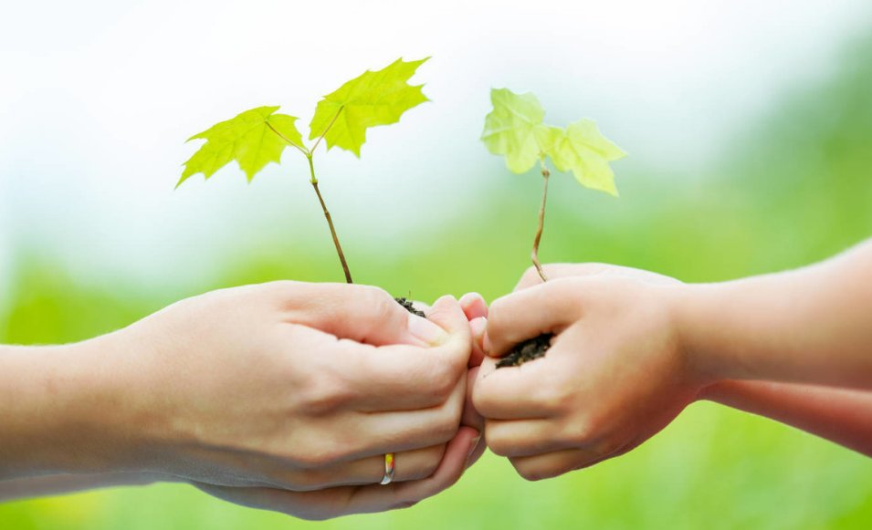 且将新火试新茶,诗酒趁年华是什么意思?