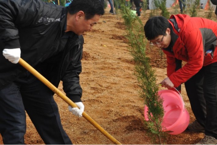 清明植树的深远意义