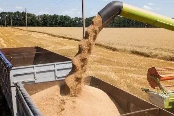 各国都在囤粮,这对普通人的影响有哪些?