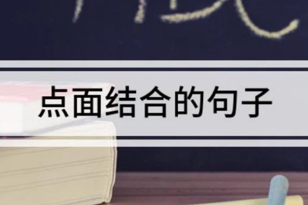 点面结合的句子优美