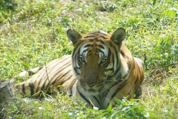 古代五大三粗是褒义词还是贬义词