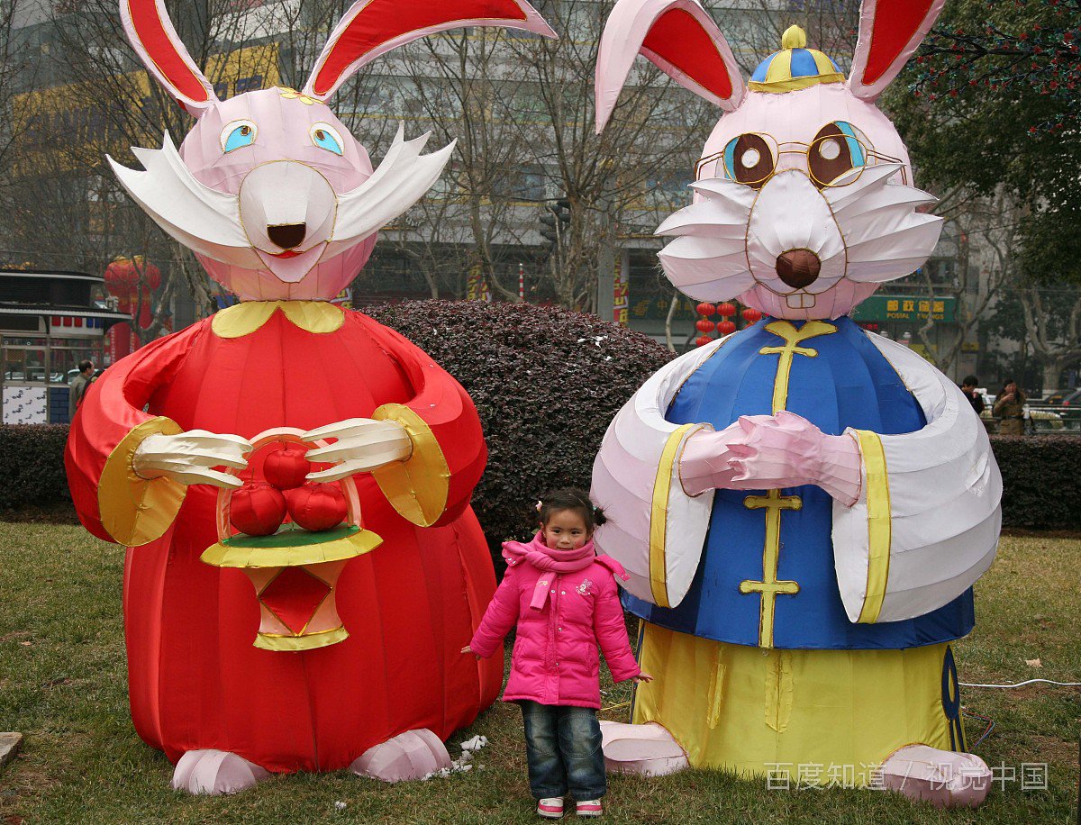 七除八扣打一动物？