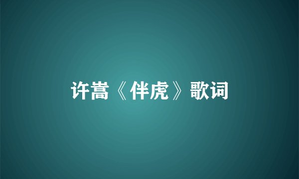 许嵩《伴虎》歌词
