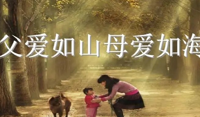 父爱如山下一句是什么?