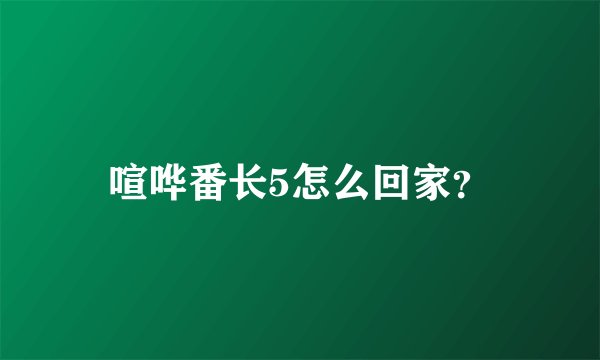 喧哗番长5怎么回家？