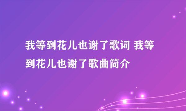 我等到花儿也谢了歌词 我等到花儿也谢了歌曲简介