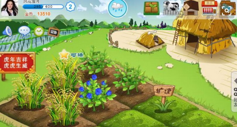 现在还有人会在QQ空间里偷菜种菜吗？