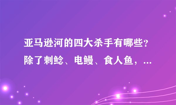亚马逊河的四大杀手有哪些？除了刺鲶、电鳗、食人鱼，还有哪个