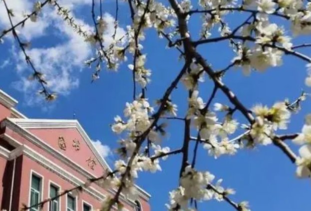 长春光华学院真实评价