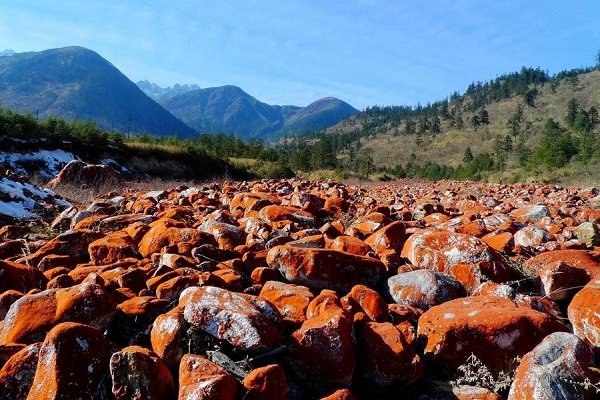 埂组词语和拼音