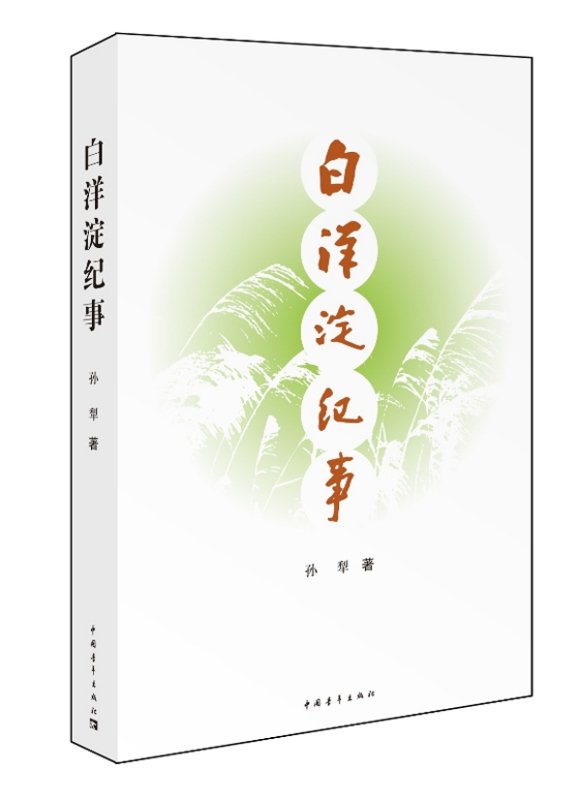 白洋淀纪事主要讲述了什么故事？