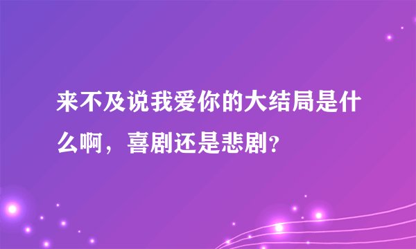 来不及说我爱你的大结局是什么啊，喜剧还是悲剧？