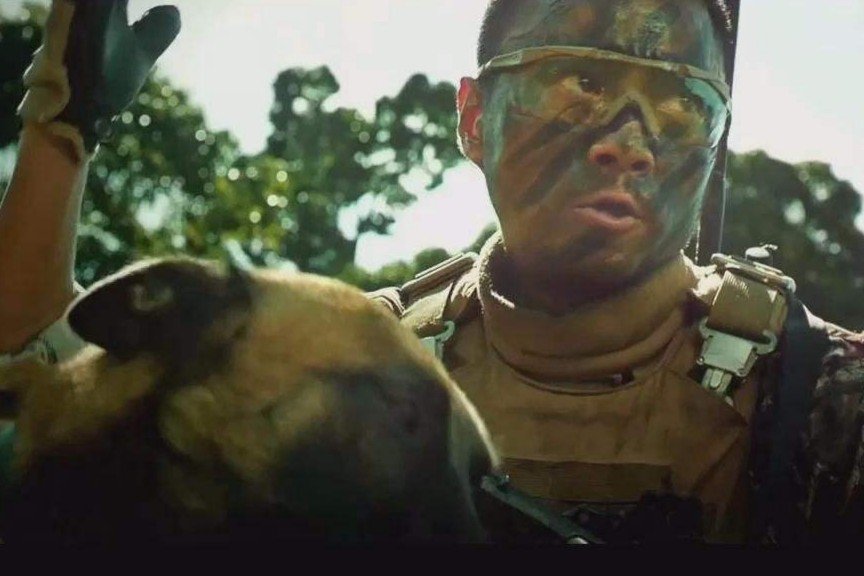 湄公河行动演员表