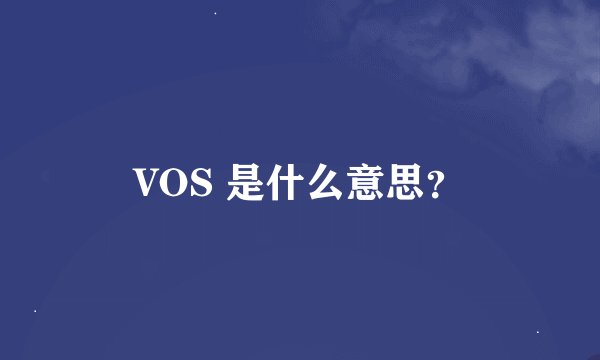 VOS 是什么意思？