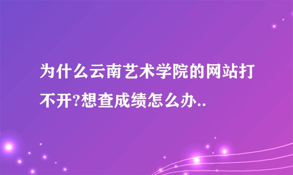 为什么云南艺术学院的网站打不开?想查成绩怎么办..