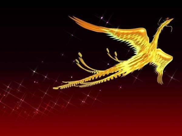 凤凰涅盘，浴火重生，什么意思？