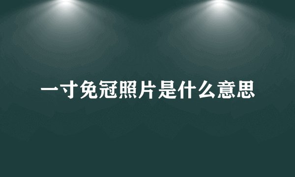 一寸免冠照片是什么意思