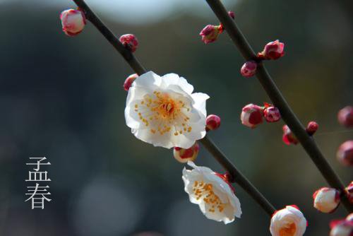 孟春 季夏 仲秋 季冬 分别指阴历哪几个月
