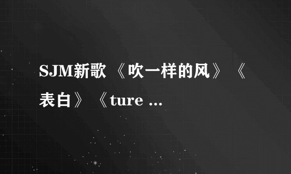 SJM新歌 《吹一样的风》 《表白》 《ture Love》 的歌词（要标明歌词分配）  谢谢了