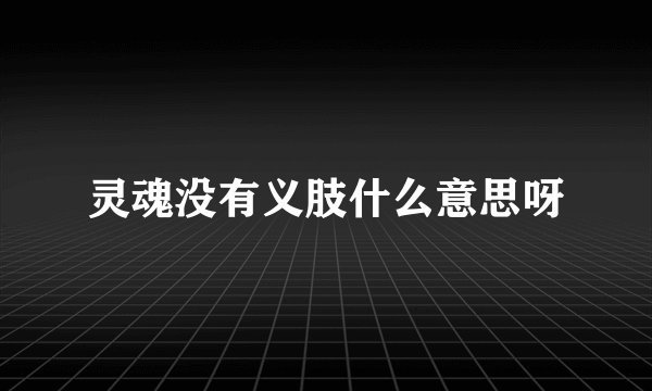 灵魂没有义肢什么意思呀