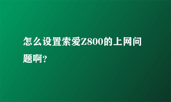 怎么设置索爱Z800的上网问题啊？