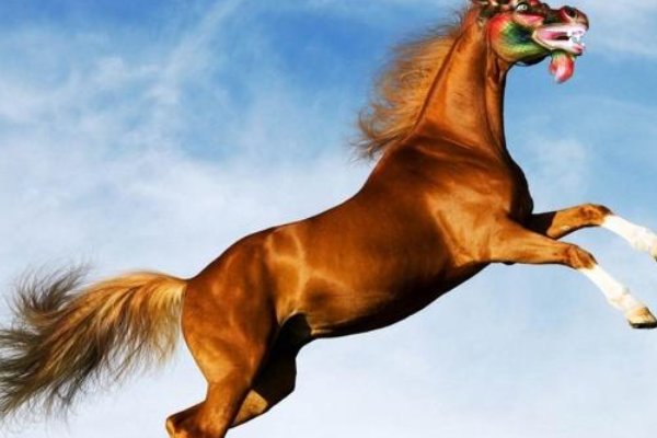 大手一挥是什么生肖