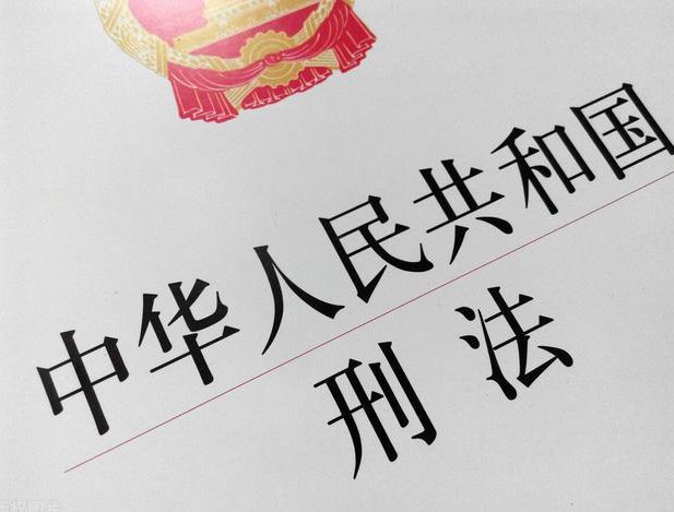 陕西家暴妻子的高管可能会承担哪些法律责任?