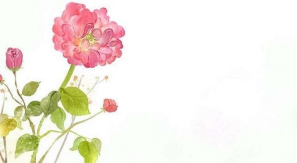 标准信封 展开的尺寸是多少？