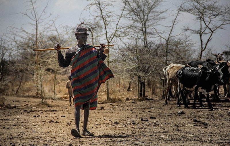 非洲天气多少度？