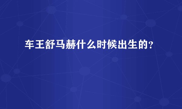 车王舒马赫什么时候出生的？