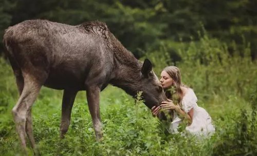 动物与人类生活的关系