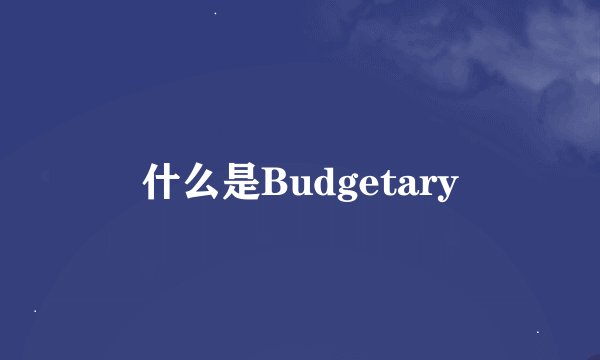 什么是Budgetary