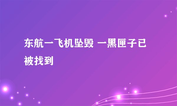 东航一飞机坠毁 一黑匣子已被找到