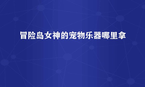 冒险岛女神的宠物乐器哪里拿