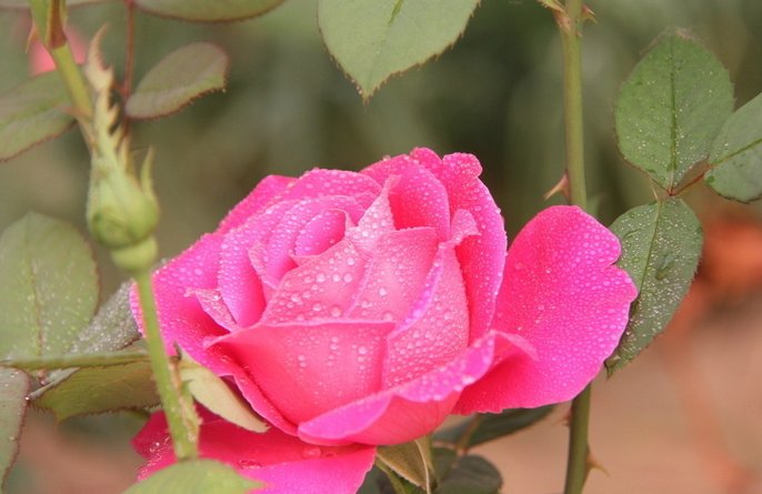 我不愿让你一个人，你知道吗？