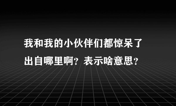 我和我的小伙伴们都惊呆了 出自哪里啊？表示啥意思？