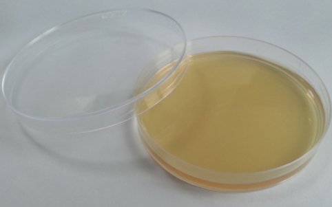 TSA培养基和TSB培养基在成分上有何区别？