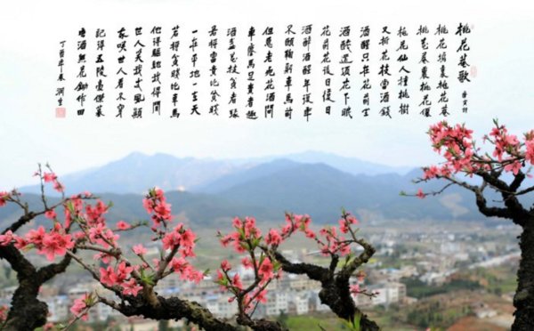 世人笑我太疯癫，我笑世人看不穿。不见五陵豪杰墓，无花无酒锄作田 是什么意思