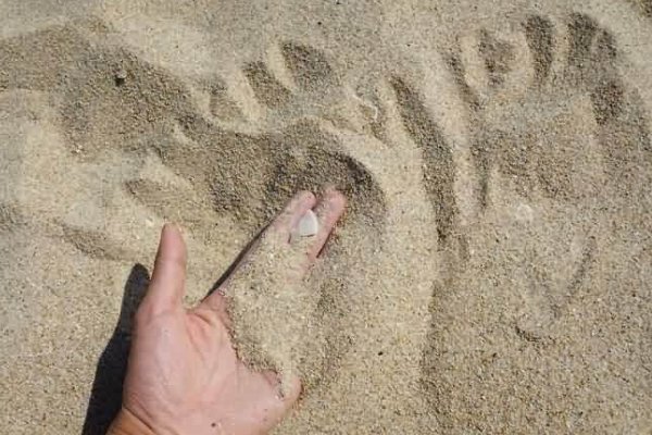 细砂、中砂、粗砂分别指什么？