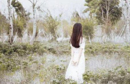 若爱其身的上句是什么?