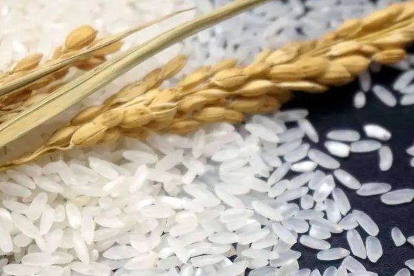 判断优质大米的标准为